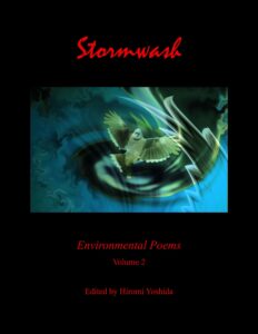 Writers Guild Spoken Word Series: STORMWASH Showcase @ Backspace Gallery